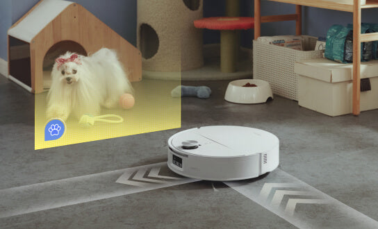 Riconoscimento automatico degli animali domestici