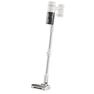 Roborock H60